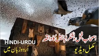 Ababeel Bird Story in Urdu  Hindi  Abraha aur Hathi ka Qissa [upl. by Nnaesor]