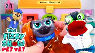 Fizzy The Pet Vets Helps Tiny Slime Paw Patrol And Puppy Dog Pals Pups  Fun Stories For Kids [upl. by Egduj444]