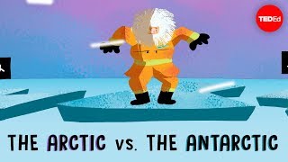 The Arctic vs the Antarctic  Camille Seaman [upl. by Lindy]