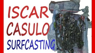 ISCAR CASULO UM EXCELENTE ISCO PARA SURFCASTING PESCA DE PRAIA [upl. by Manning]