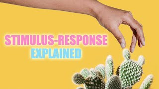 StimulusResponse Reflexes and Homeostasis [upl. by Juanne112]