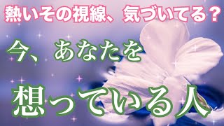 気づいてる？密かにあなたに想いを寄せる人🔥個人鑑定級 当たる 恋愛タロット占い ルノルマン オラクルカード細密リーディング [upl. by Llenrod509]