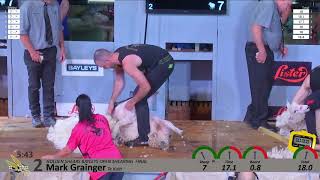 2019 Open Shearing Final  2019 Golden Shears [upl. by Olnee]