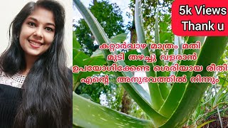 How to use aloe vera for hair growth ll Malayalam കറ്റാർവാഴ മുടിയിൽ എങ്ങനെ ഉപയോഗിക്കാം [upl. by Kahn682]