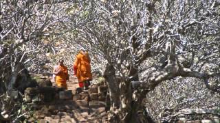 CHAMPASAK laos pakse bolivan plateau wat phou [upl. by Ahsuatal175]