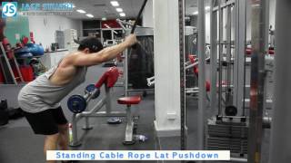 Standing Cable Rope Lat Pushdown [upl. by Ashatan]