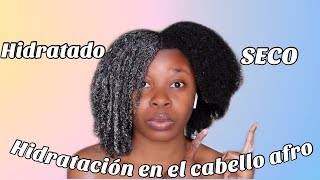 CÓMO HIDRATAR EL CABELLO AFRO 4C  MASCARILLA CASERA DE HIDRATACIÓN PARA EL CABELLO AFRO SECO 4C [upl. by Acquah149]