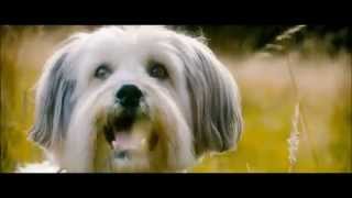 PUDSEY THE DOG THE MOVIE  Official Film Trailer 2014 [upl. by Pfister]