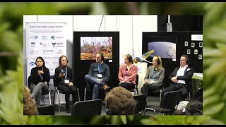 COP26  Unlocking private finance for peatlands [upl. by Ahsit]