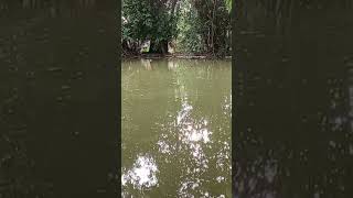 Fishing kaise karte hain dekho fishing technique video viral [upl. by Granese]