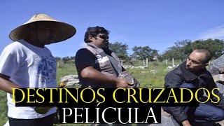 DESTINOS CRUZADOS  PELÍCULA completa [upl. by Kresic]