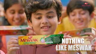 Dabur Meswak TVC – Complete Tooth and Gum Care [upl. by Atirres]