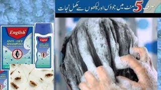 English Anti lice shampoo review [upl. by Yrbua23]