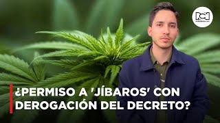 Análisis ¿Permiso a los jíbaros con la derogación del Decreto sobre drogas [upl. by Orfinger498]