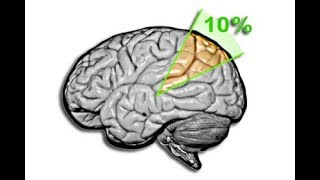 Menschen nutzen nur 10 Prozent ihres Hirns Der Mythos [upl. by Blasius176]