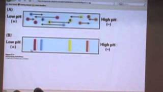 Protein Characterization II [upl. by Farrell]