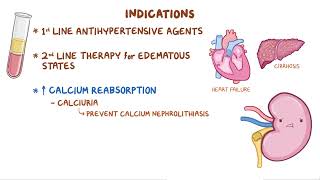 Thiazide and Thiazide like Diuretics  Renal pharmacology  Osmosis [upl. by Yekcin]