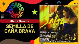 🔥SEMILLA DE CAÑA BRAVA por SIERRA MAESTRA  Salsa Premium [upl. by Aleit]