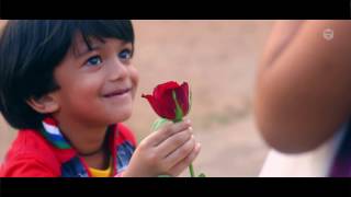 ഈ വാലന്റൈൻസ് ദിനത്തിൽ Happy Valentines Day 2021Zifran NizamZifru [upl. by Nashom]