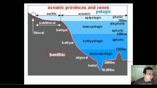 Ocean Life Part 1 Types amp Regions [upl. by Roanna]