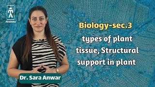 Biologysec3  types of plant tissue Structural support in plant [upl. by Zillah]