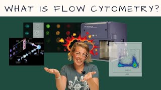 What is FLOW CYTOMETRY Intro to Flow Cytometry  Episode 1 [upl. by Rheinlander]