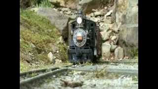 LGB Evening MIxed Train Daily on Garden Railroad [upl. by Accisej222]