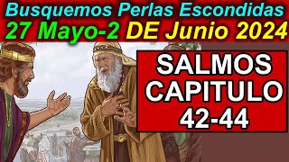 Busquemos PERLAS ESCONDIDAS de esta semana 27 Mayo 2 de Junio 2024 Comentarios [upl. by Aryahay]