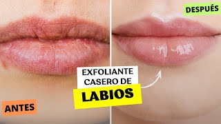 exfoliante para labios casero CON 2 INGREDIENTESFABI ZEA [upl. by Ydroj]