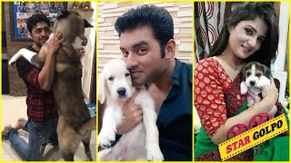 ৮ টলিউডের স্টারদের পোষা প্রানিদের প্রেম  8 Bengali Stars Love For Their Pets Have Won Our Hearts [upl. by Zurkow]