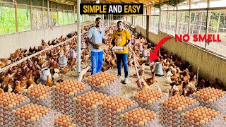 How To Start A SUCCESSFUL Poultry Farm as a BEGINNER In Ghana In 2024 poultry poultryfarm [upl. by Pollack569]