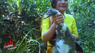 Unbelievable Catch and Cook Wild Duck by Amazing Girl In Forest [upl. by Durning]