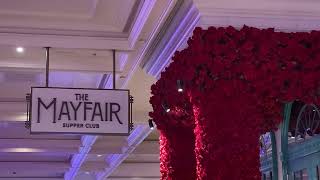 Mayfair Club  Bellagio Hotel amp Casino [upl. by Holden]