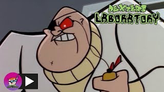 Dexters Laboratory  Photo Finish  Cartoon Network [upl. by Cianca]