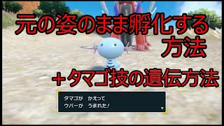 ポケットモンスターSV元のリージョンフォームのまま孵化させる方法とタマゴ技の遺伝について [upl. by Esydnac419]