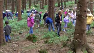 Schatzsuche im Harzer Edelsteinwald [upl. by Werner533]