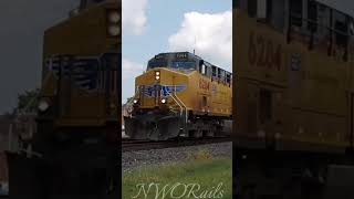 UP and BNSF at Deshler Ohio [upl. by Martens]