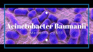 Acinetobacter Baumanii  Factores de patogenicidad y virulencia [upl. by Beth]