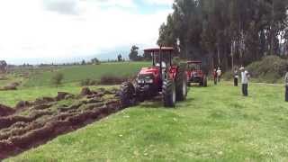 Two Farmall Tractors for 2400  Will They Run Sitting Many Years [upl. by Gnuy140]