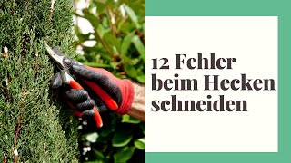 12 Fehler die Sie beim Hecke schneiden vermeiden sollten [upl. by Flowers]