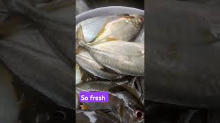 Talakitok fresh kabobovlogs fishing [upl. by Ynattyrb]