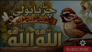 Chidiya Rani  Chidiya boli Choo Choo Cho  Allah Hoo Allah Hoo  islamicvideo kidsvideo cartoon [upl. by Smitt]