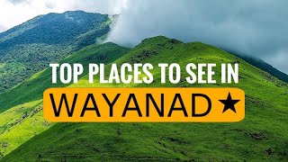 TOP 16 PLACES TO VISIT IN WAYANAD  MUST VISIT WAYANAD TOURIST PLACES [upl. by Gausman]