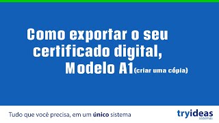 Como exportar o seu certificado digital modelo A1 criar uma cópia [upl. by Xanthus]