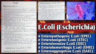 E coli  Escherichia coli  Infection caused by E Coli  Infective strans of E coli [upl. by Eenitsed577]