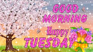 🌈Good Morning TUESDAY🌼 ❤️ GIF eCard Greetings❤️ Have an Amazing Tuesday [upl. by Tenej]