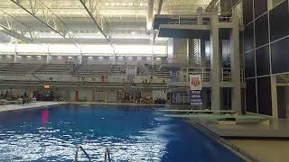 2021 AAU Diving International School Sports Federation ISF Trials  Diving Girls 1m [upl. by Atterual906]