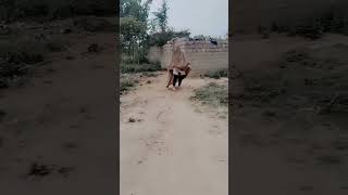 Shehar mai agg laga di viralvideo unfreezmyaccout love shortvideo [upl. by Adaha]