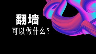 【每日更新】免费机场节点订阅，翻墙后可以做写什么？ [upl. by Ydok]