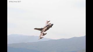 Hawks and Pinky from Bwlch and Cad West 18th and 19th July 2017 [upl. by Eecyak]